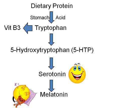 Melatonin