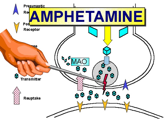 アンフェタミンがどのように作用するか