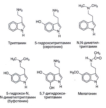 serotonin biogenic amine