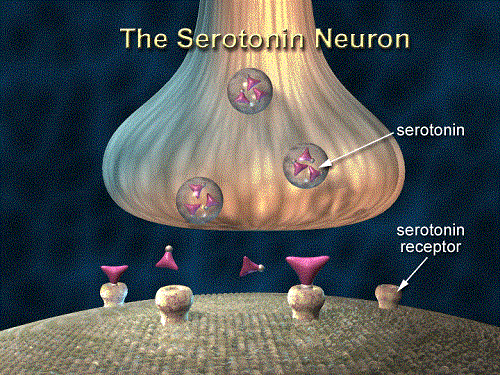 Serotonin, Depression, Selank, Lyrica, Phenibut