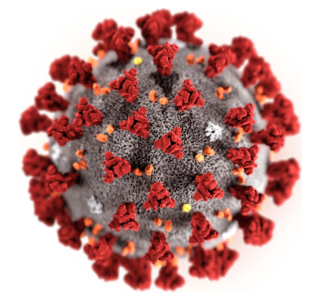 2019-nCoV-coronavirus