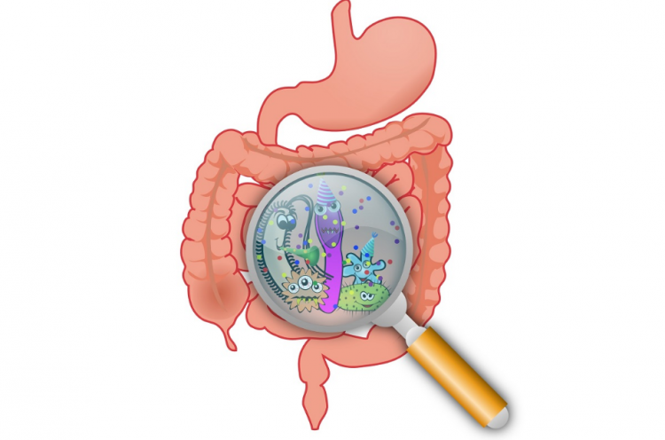 dysbacteriosisを治療する方法