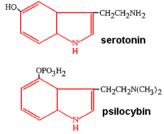 serotonin, psilocybin