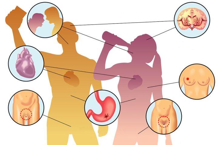 Action of Ethanol on the Stomach, Pancreas and Liver